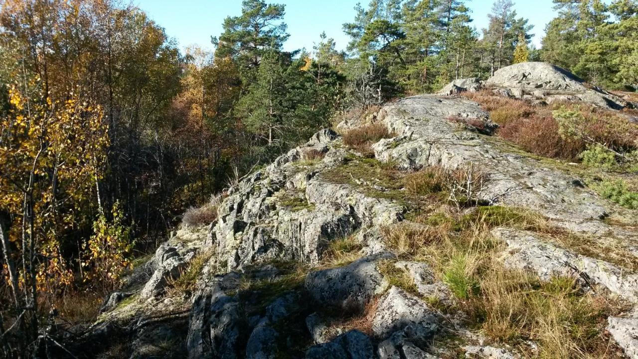 Bed&Breakfast In Nature 12 Min From City Free Bikes ストックホルム エクステリア 写真