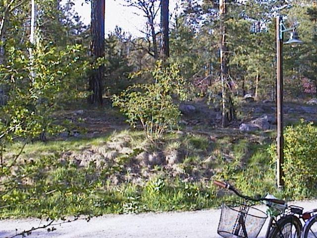 Bed&Breakfast In Nature 12 Min From City Free Bikes ストックホルム エクステリア 写真